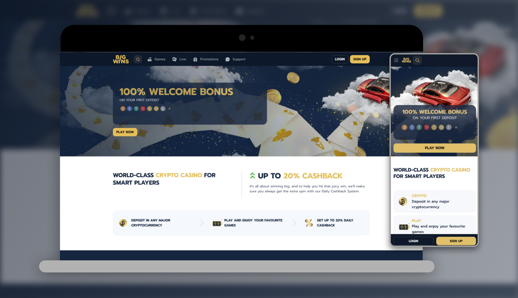 Big Wins Casino Testimonial: Software Application